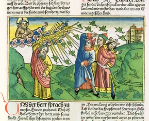 Księga Wyjścia 10:1-20 Siedem plag egipskich: plaga szarańczy, z Biblii norymberskiej (Biblia Sacra Germanica)