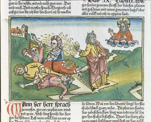 Księga Wyjścia 9, 8-12: Siedem plag egipskich - Mojżesz i plaga wrzodów, z Biblii norymberskiej (Biblia Sacra Germanica)