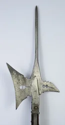 Halabarda