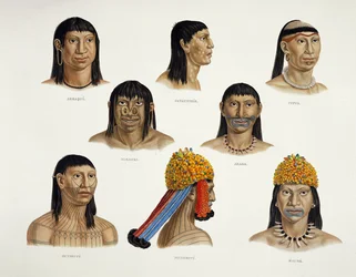 Głowy Indian południowoamerykańskich, z Travels in Brazil (szczegóły patrz 92095)