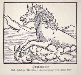 Hipopotam z „Cosmographie Universalis” Sebastiena Munstera