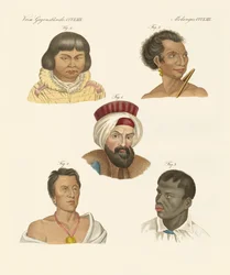 Ilustracja głównych ras ludzkich