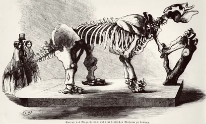 Szkielet Megatherium w British Museum