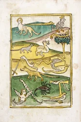 Potwory i węże w krajobrazie, 1478