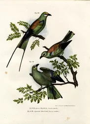 Wałek, 1864