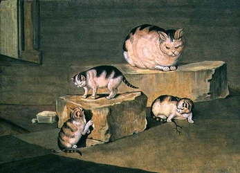 Badanie kotów
