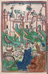 Ptaki i stworzenia z powietrza, ilustracja z „Hortus Sanitatis” („Ogród Zdrowia”) 1491 (kolorowy drzeworyt)