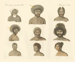 Papuasowie (kolorowy grawerunek)