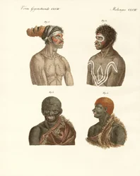 Mieszkańcy Australii (kolorowy grawerunek)