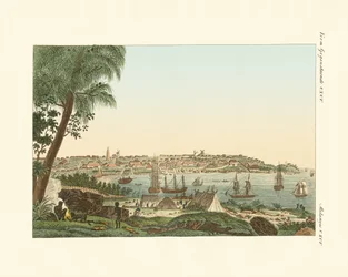 Widoki miasta Sydney (kolorowy grawerunek)