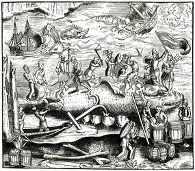 Połów wielorybów, według drzeworytu w Cosmographie Universelle of Munster, opublikowanym 1552