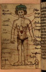 Diagram zodiaku przedstawiający pozycję serca, ze zbioru modlitw i postaci astrologicznych