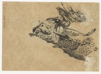 Głowa iguany
