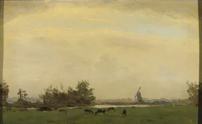 Krajobraz Łąka nad Spaarne