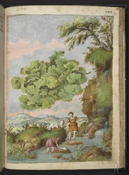Porosty i kobiety do prania odzieży lub futra w basenie, z „Obrazów flory stanów rzymskich” Gherardo Cibo, Add MS 22333, f171r, c.1564-84 (akwarela i gwasz na papierze)