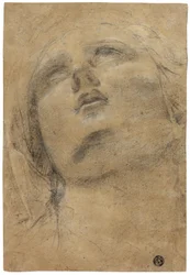 Głowa Dziewicy spoglądająca w górę