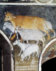 Zwierzęta hodowlane, fragment fresku Giacomo Jaquerio (1375-1453), opactwo św. Antoniego z Ranverso, Buttigliera Alta, Piemont, Włochy