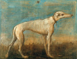 Charcik Włoski, ok. 1930 r. 1793.