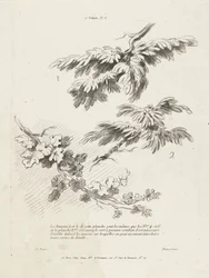 Studium trzech gałęzi z liśćmi 1er Cahier de paysage (tytuł serii)