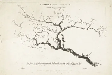 Badanie nagiej gałęzi drzewa 1er Cahier de paysage (tytuł serii)