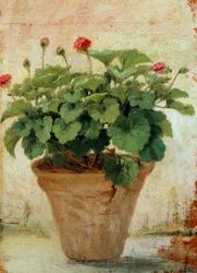 Wazon z geranium (olej na płótnie)