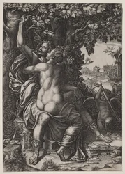 Angelica i Medoro
