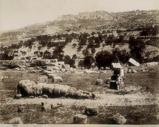 Agrigento: widok na ruiny świątyni Jowisza