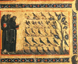 Historie świętego Franciszka: święty Franciszek głoszący kazanie ptakom, fresk Giotta (1267-1337), ok. 1325. Kaplica Bardi w Vernio, bazylika Santa Croce, Florencja, Włochy