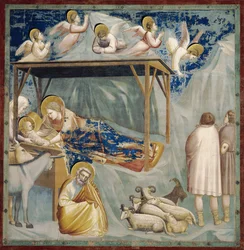 Narodzenie Chrystusa, autorstwa Giotta (1267-1337), detal z cyklu fresków Życie i męka Chrystusa