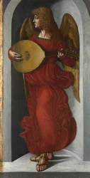 Anioł w czerwieni z lutnią, ok. 1930 r. 1490-1499