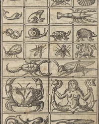 Przykład recammi, strona 11 recto, 1530.