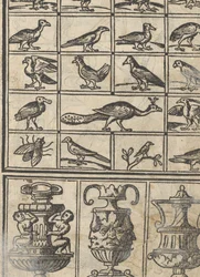 Przykład recammi, strona 12 recto, 1530.
