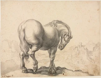 Studium ogiera, I III XVIII w.
