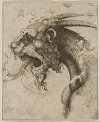 Głowa Chimery par Franco (zwanej Semolei) (pióro, brązowy atrament indyjski na papierze)