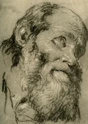 Głowa starego człowieka, c1755, 1928