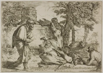 Diogenes szuka uczciwego człowieka