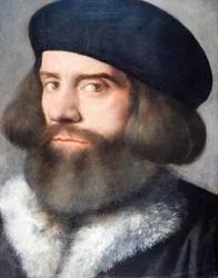 Głowa brodatego mężczyzny, 1537.