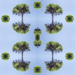 Nienaturalny 118 (zdjęcie zmanipulowane cyfrowo)