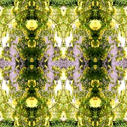 Nienaturalny 150 (zdjęcie zmanipulowane cyfrowo)