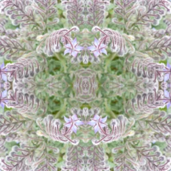 Nienaturalny 161 (zdjęcie zmanipulowane cyfrowo)