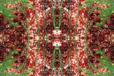 Nienaturalny 23 (zdjęcie zmanipulowane cyfrowo)