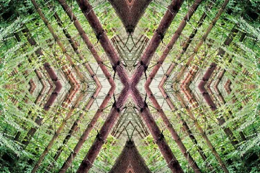 Nienaturalny 37 (zdjęcie zmanipulowane cyfrowo)