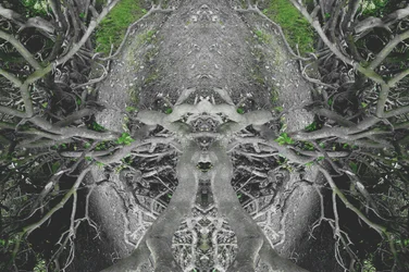 Nienaturalny 42 (zdjęcie zmanipulowane cyfrowo)