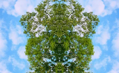 Nienaturalny 46 (zdjęcie zmanipulowane cyfrowo)