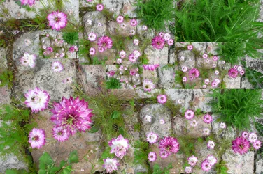Nienaturalny 60 (zdjęcie zmanipulowane cyfrowo)