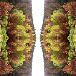Nienaturalny 77 (zdjęcie zmanipulowane cyfrowo)
