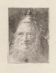 Brodaty starzec w kapeluszu, z Raccolta di Teste (Kolekcja głów)