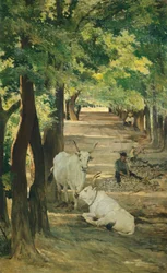 Aleja z wołami i łamaczem kamieni, Giovanni Fattori (1825-1908)