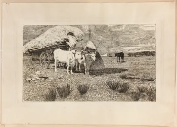 Woły i wóz (Maremma)