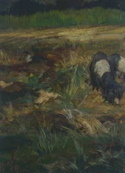 Maremma Toskańska, detal (olej na płótnie)